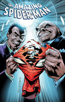 Amazing Spider-Man  Vol. 12: Shattered Web