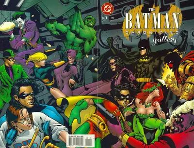 Batman Chronicles #1