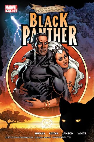 Black Panther #17