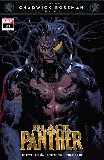 Black Panther #23