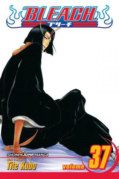 Bleach #37