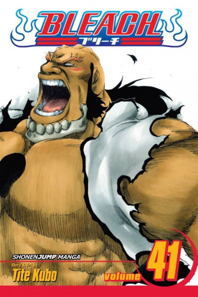 Bleach #41