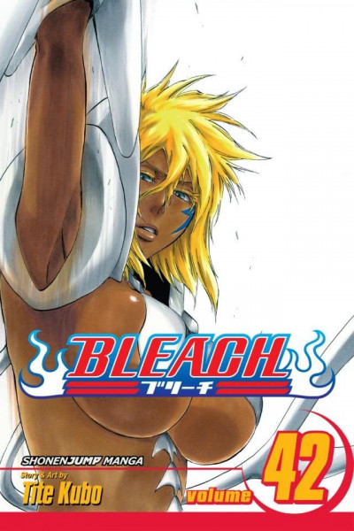 Bleach #42