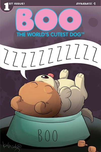 Boo: The World's Cutest Dog