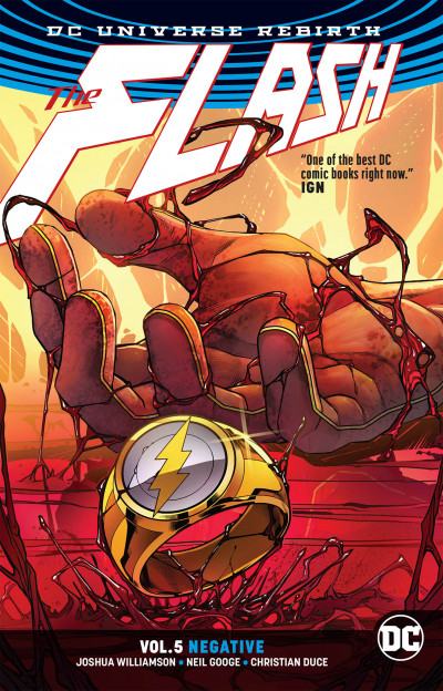 Flash  Vol. 5: Negative Rebirth