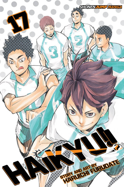 Haikyu!! #17