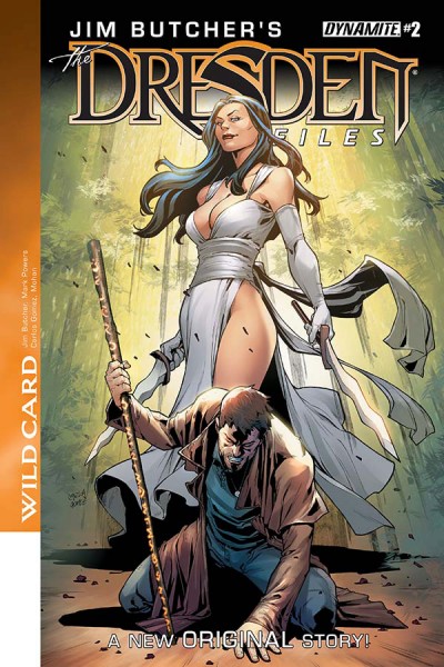 The Dresden Files: Wild Car...