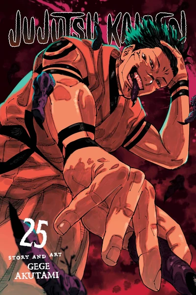 Jujutsu Kaisen #25