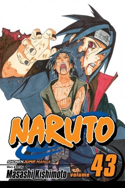 Naruto #43