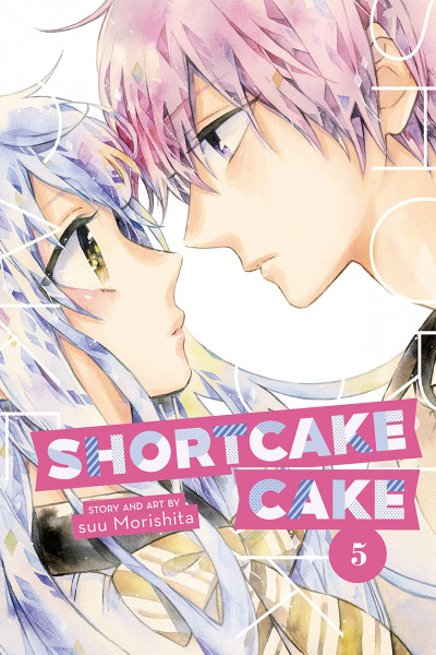 Shortcake Cake #5