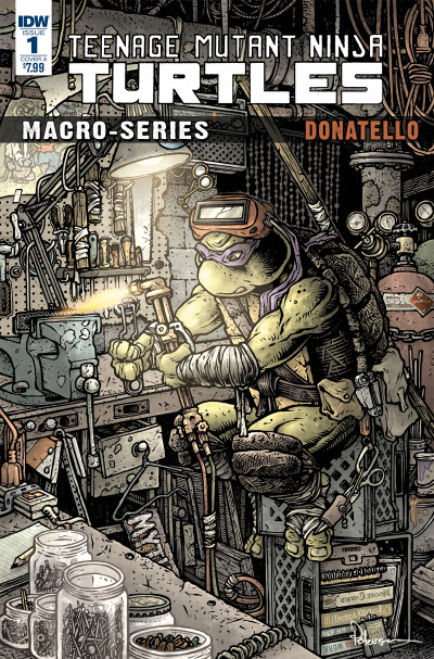 Teenage Mutant Ninja Turtles: Macroseries
