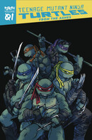 Teenage Mutant Ninja Turtles Reborn Vol. 1: From The Ashes