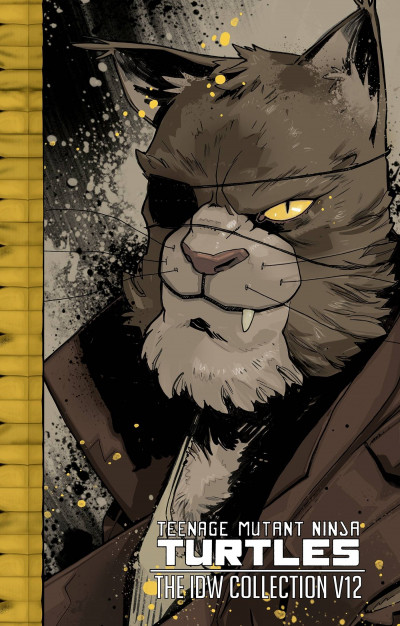 Teenage Mutant Ninja Turtles  Vol. 12 Hardcover