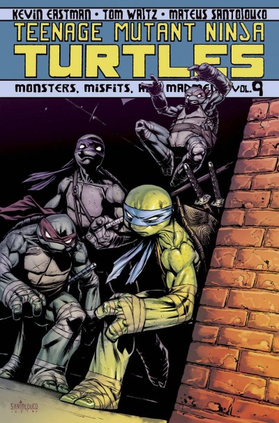 Teenage Mutant Ninja Turtles  Vol. 9: Monsters, Misfits and Madmen