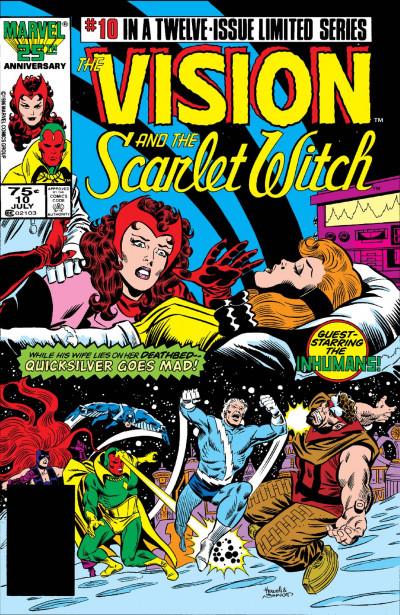 Vision and the Scarlet Witc...