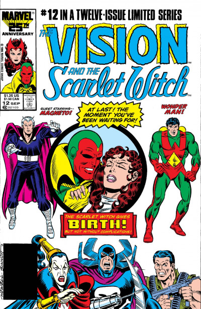 Vision and the Scarlet Witch #12