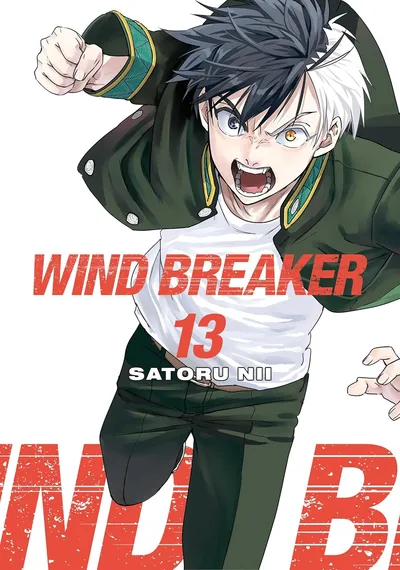 Wind Breaker #13