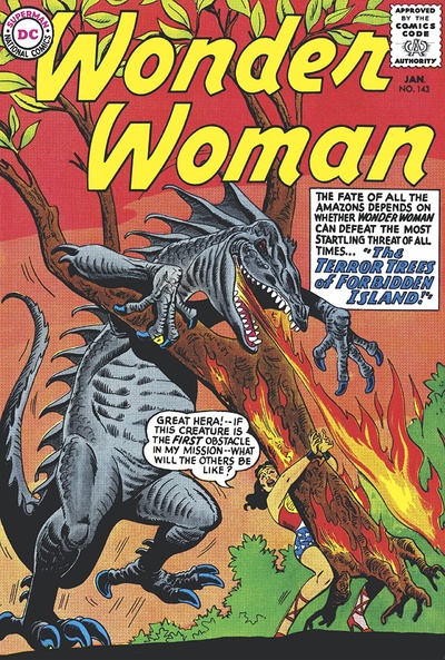 Wonder Woman #143