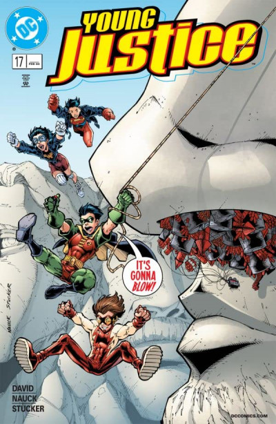 Young Justice #17